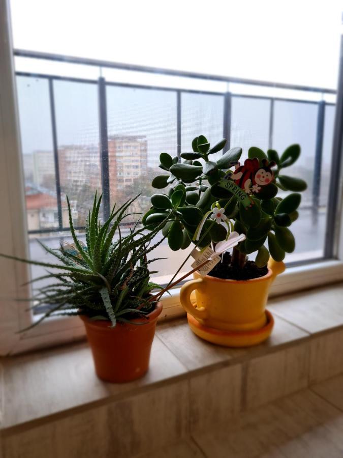 Cozy Apartment Arad Extérieur photo