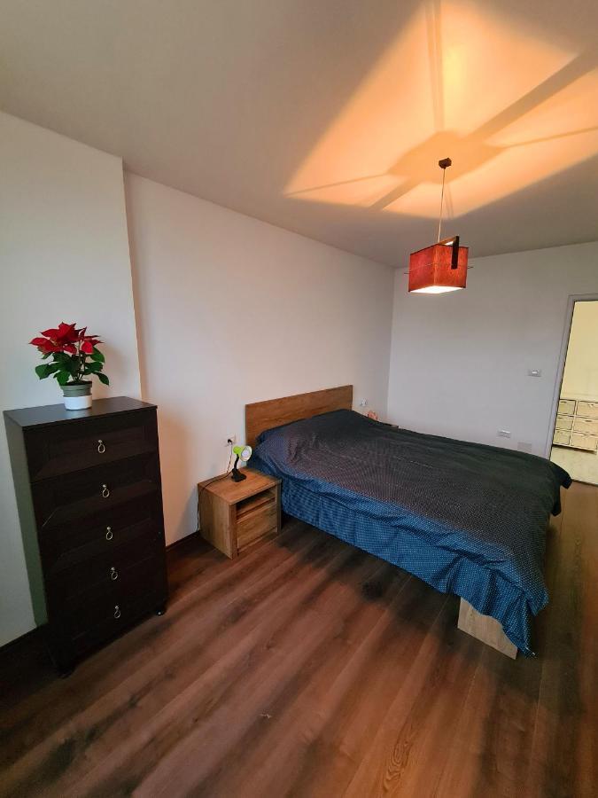 Cozy Apartment Arad Extérieur photo