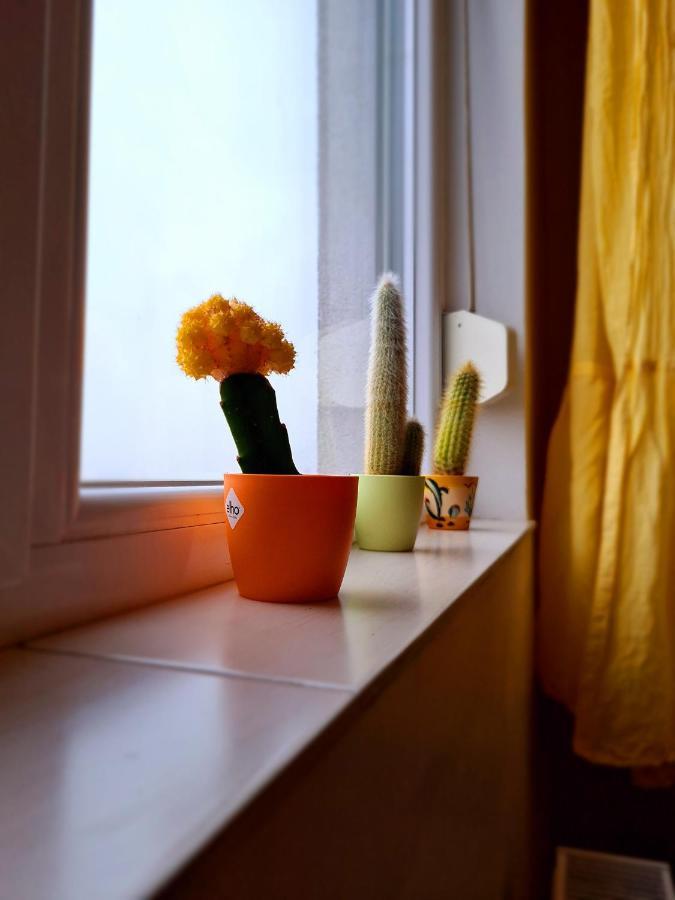 Cozy Apartment Arad Extérieur photo