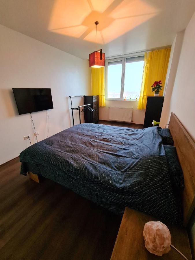 Cozy Apartment Arad Extérieur photo